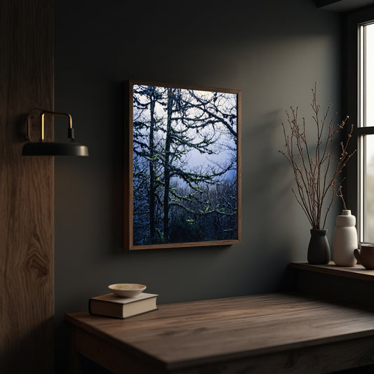 Mossy Trees with Fog - Limited Edition Print