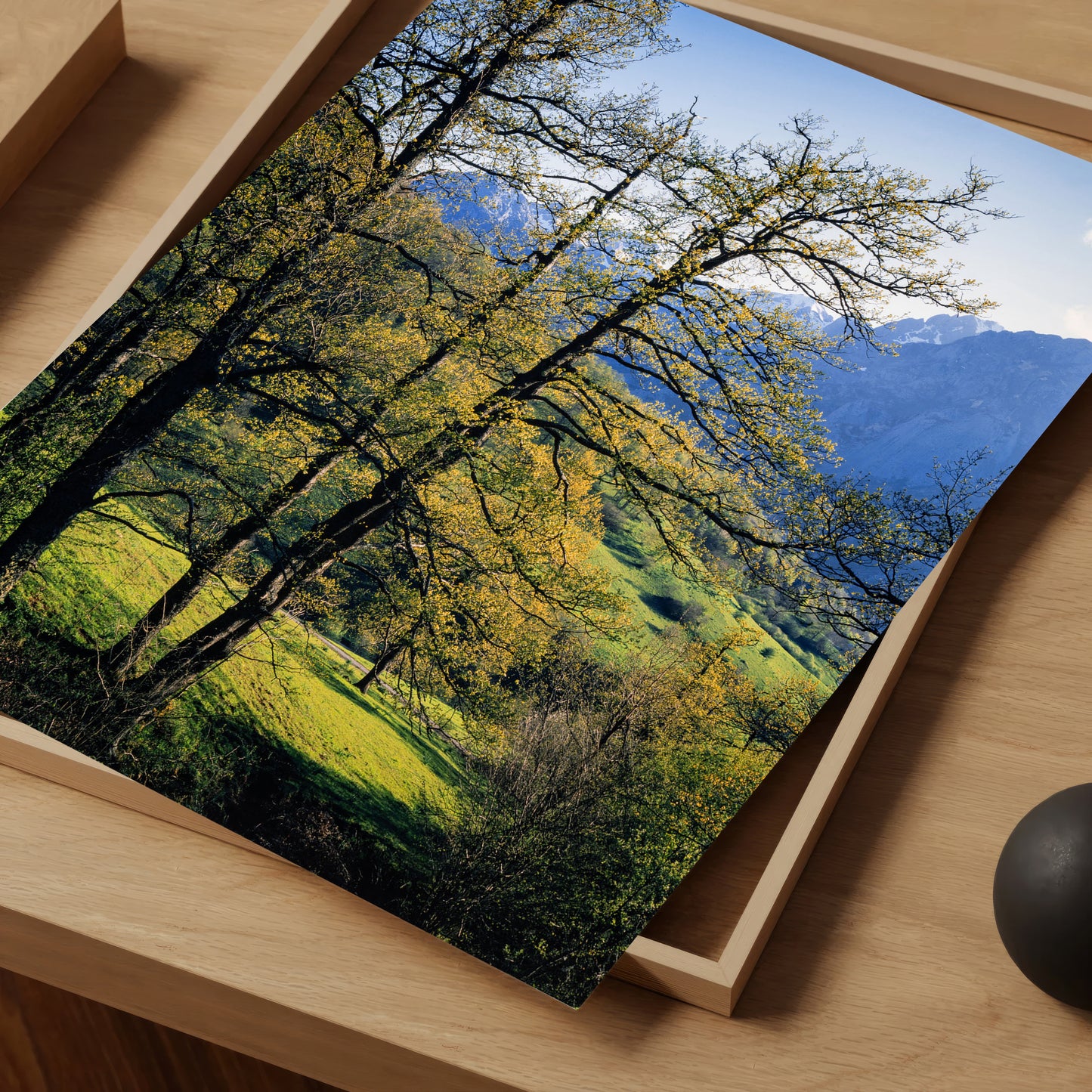 Mountain Woodland - Limited Edition Print