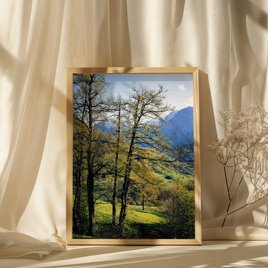 Mountain Woodland - Limited Edition Print