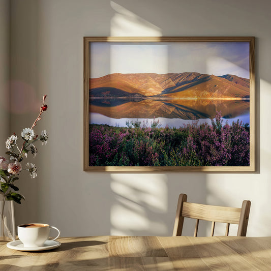 Painted Shore - Limited Edition Print