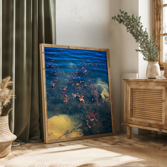 Pondweed at Dawn - Limited Edition Print