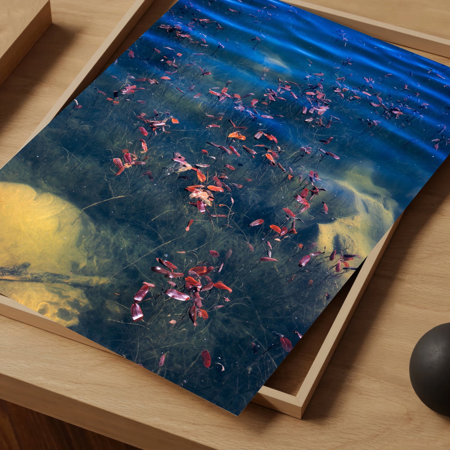 Pondweed at Dawn - Limited Edition Print