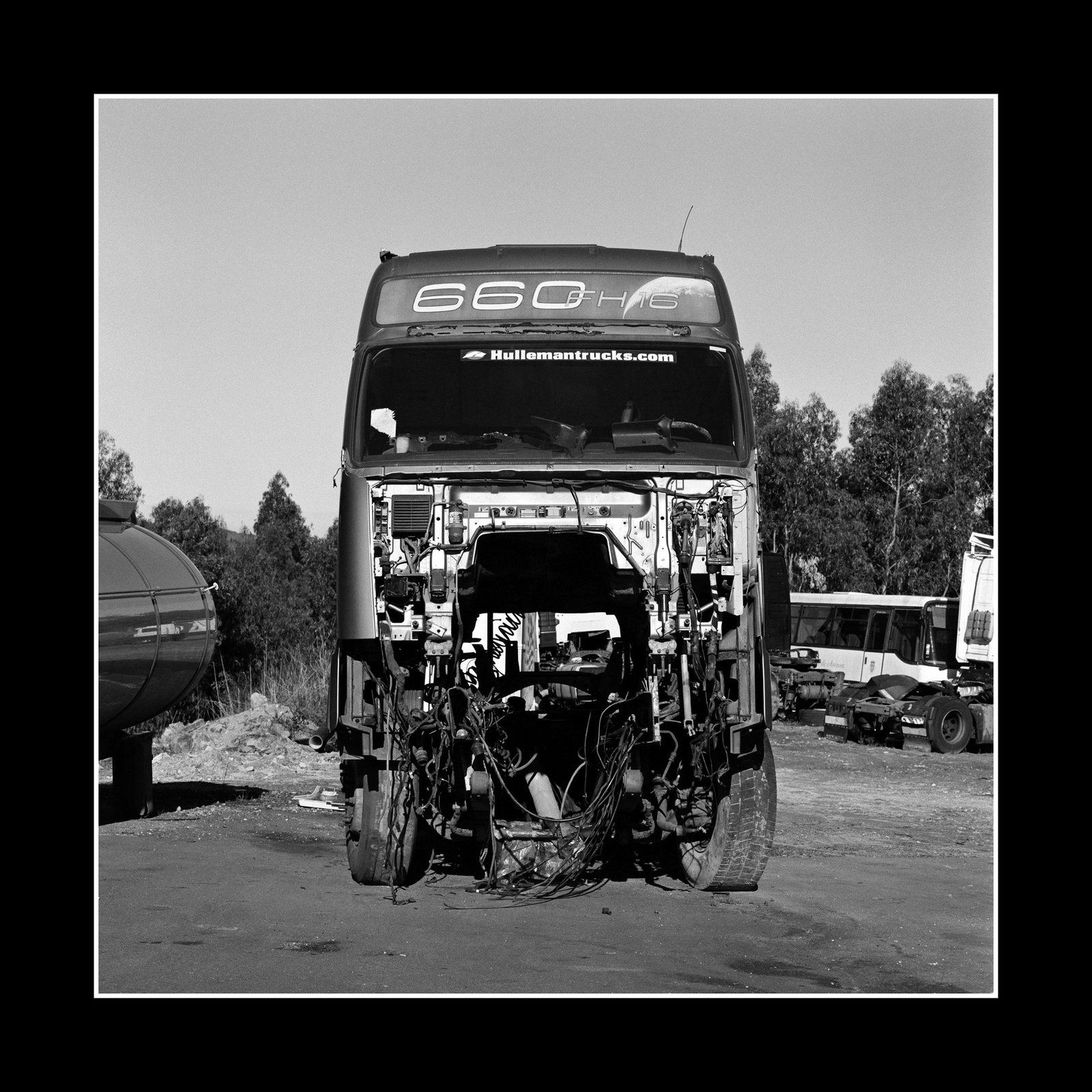 Anatomic - Darkroom Photo Print