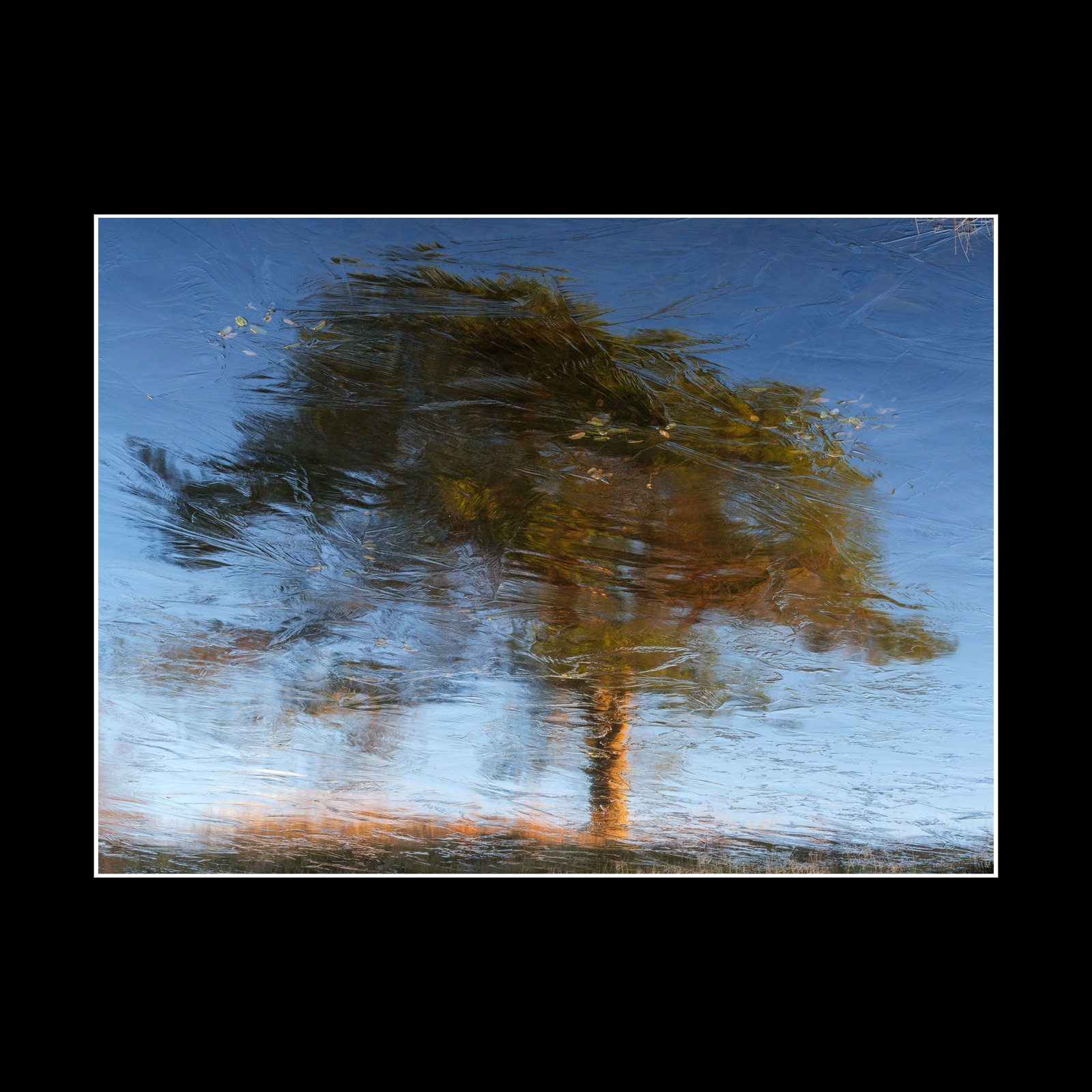 Brushes of Ice - Fine Art Print