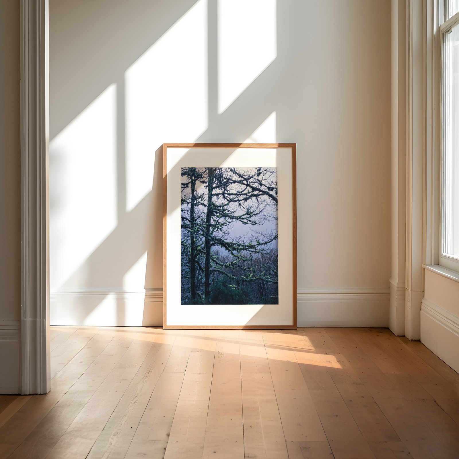 Mossy Trees - Fine Art Print - Image 3