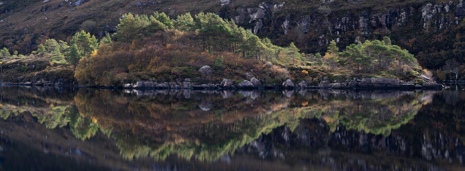 Pine Waves - Fine Art Print - Image 4