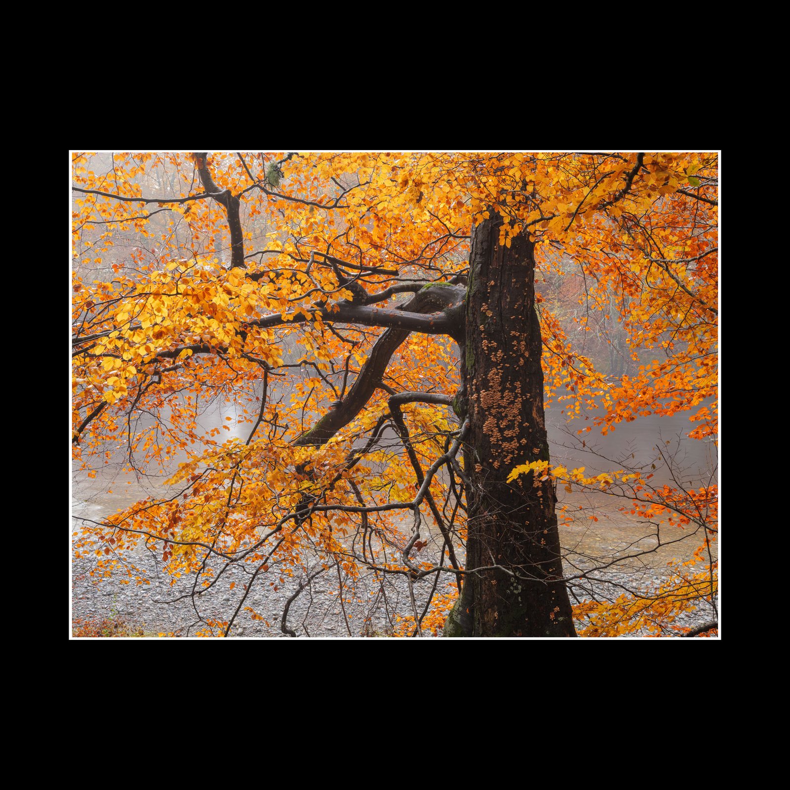 Unraveling - Fine Art Print